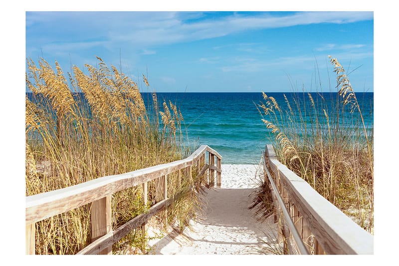 Fototapet Summer At The Seaside 350x245 - Artgeist sp. z o. o. - Inredning - Väggdekor - Tapet & tapettillbehör - Fototapet