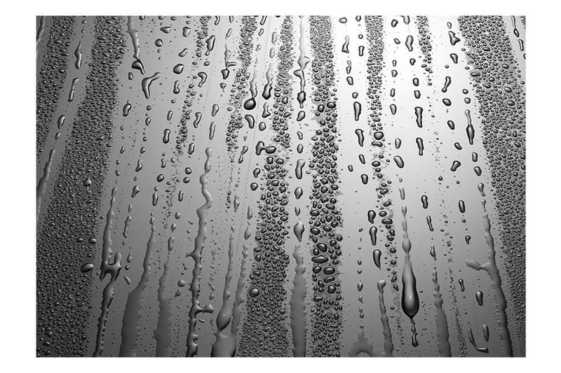 Fototapet Summer Drizzle 300x210 - Artgeist sp. z o. o. - Inredning - Väggdekor - Tapet & tapettillbehör - Fototapet