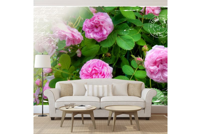 Fototapet Summer Garden 300x210 - Artgeist sp. z o. o. - Inredning - Väggdekor - Tapet & tapettillbehör - Fototapet