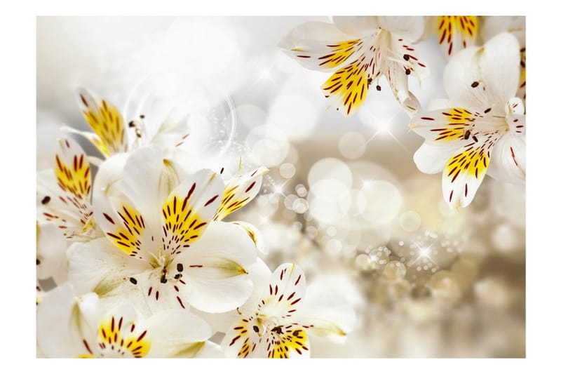 Fototapet Sunny Alstroemeria 250x175 - Artgeist sp. z o. o. - Inredning - Väggdekor - Tapet & tapettillbehör - Fototapet