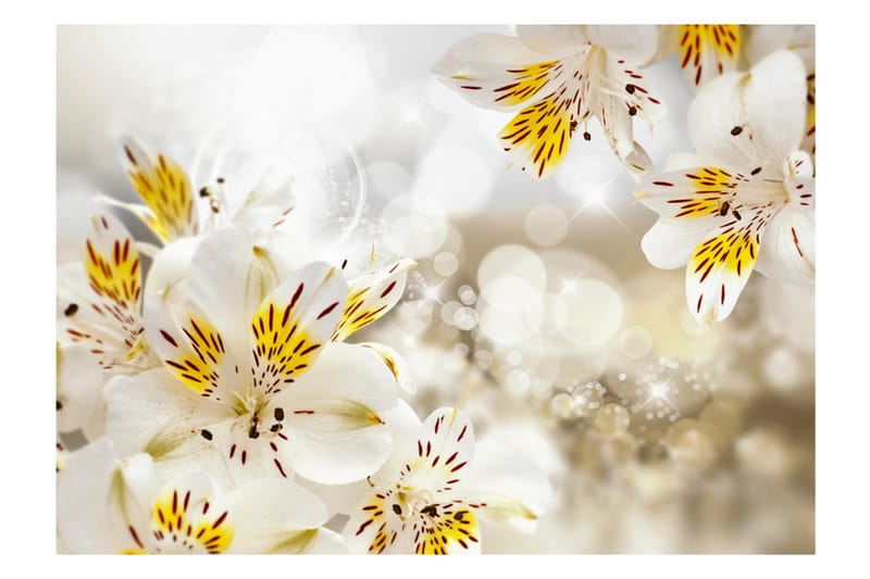 Fototapet Sunny Alstroemeria 300x210 - Artgeist sp. z o. o. - Inredning - Väggdekor - Tapet & tapettillbehör - Fototapet