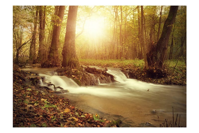 Fototapet Sunny Current 100x70 - Artgeist sp. z o. o. - Inredning - Väggdekor - Tapet & tapettillbehör - Fototapet