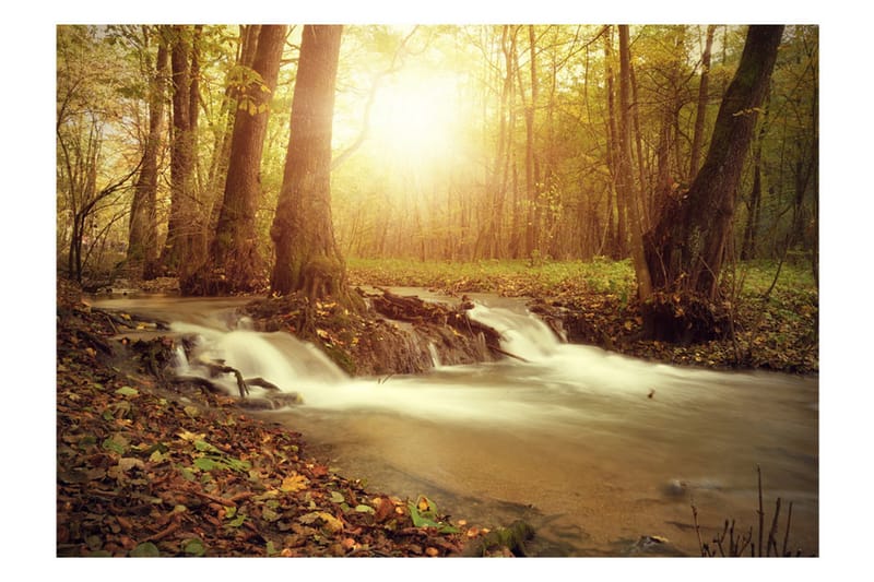 Fototapet Sunny Current 350x245 - Artgeist sp. z o. o. - Inredning - Väggdekor - Tapet & tapettillbehör - Fototapet