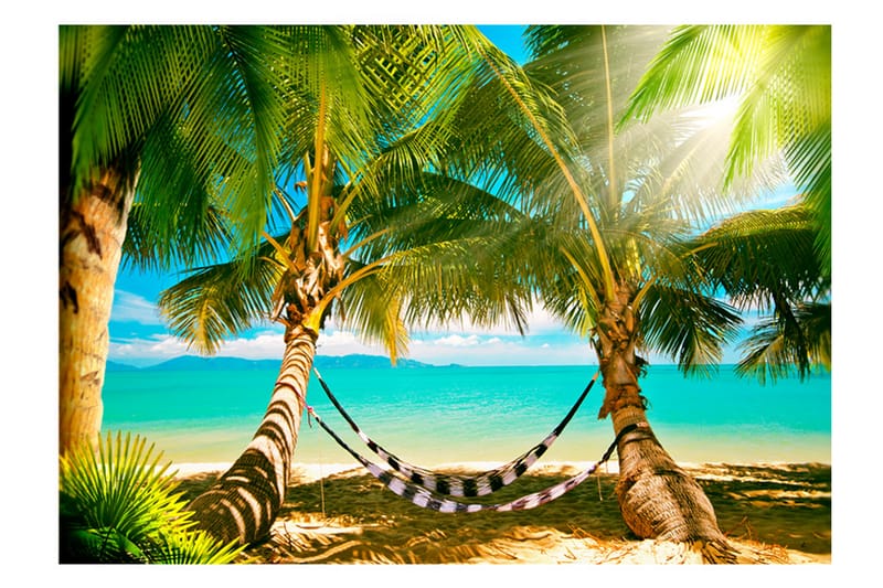 Fototapet Sunny Duo 350x245 - Artgeist sp. z o. o. - Inredning - Väggdekor - Tapet & tapettillbehör - Fototapet