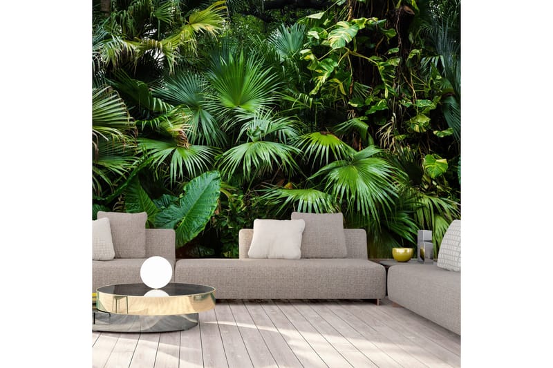 Fototapet Sunny Jungle 400x280 - Artgeist sp. z o. o. - Inredning - Väggdekor - Tapet & tapettillbehör - Fototapet