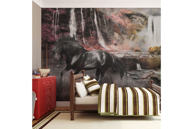 Fototapet Svart Häst Med Ett Vattenfall 250x193 - Artgeist sp. z o. o. - Inredning - Väggdekor - Tapet & tapettillbehör - Fototapet
