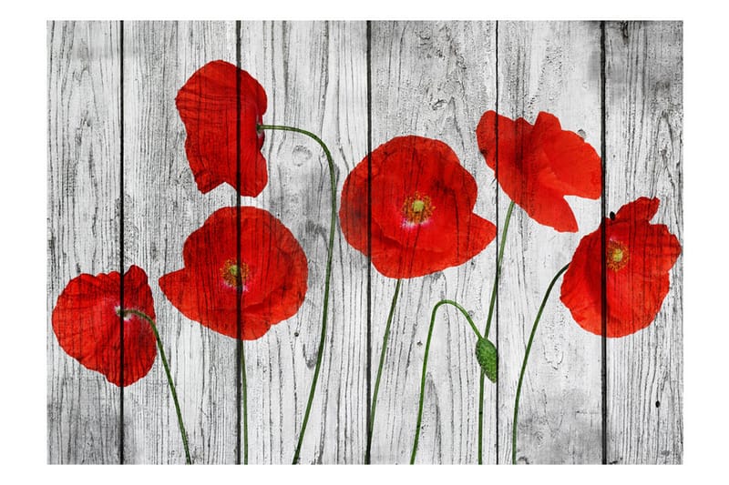 Fototapet Tale Of Red Poppies 200x140 - Artgeist sp. z o. o. - Inredning - Väggdekor - Tapet & tapettillbehör - Fototapet