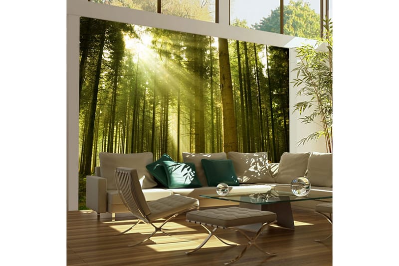 Fototapet Tallskog 350x270 - Artgeist sp. z o. o. - Inredning - Väggdekor - Tapet & tapettillbehör - Fototapet