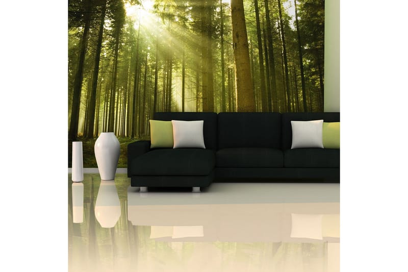 Fototapet Tallskog 450x270 - Artgeist sp. z o. o. - Inredning - Väggdekor - Tapet & tapettillbehör - Fototapet