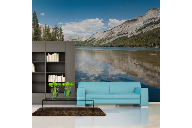 Fototapet Tenaya Lake Yosemite National Park 400x309, Artgeist sp. z o. o.