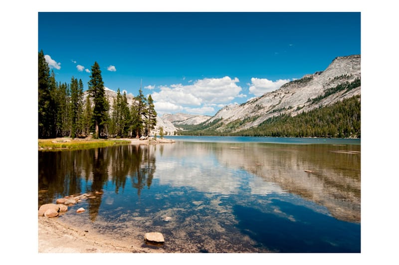 Fototapet Tenaya Lake Yosemite National Park 250x193 - Artgeist sp. z o. o. - Fototapet