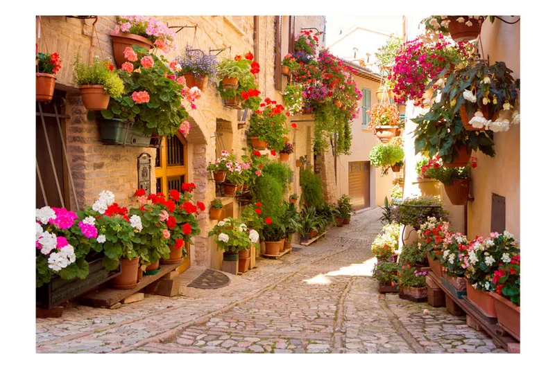 Fototapet The Alley In Spello Italy 200x140 - Artgeist sp. z o. o. - Inredning - Väggdekor - Tapet & tapettillbehör - Fototapet