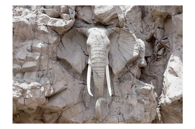 Fototapet The Bridge Of Time South Africa 100x70 - Artgeist sp. z o. o. - Inredning - Väggdekor - Tapet & tapettillbehör - Fototapet