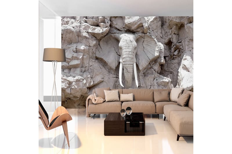 Fototapet The Bridge Of Time South Africa 200x140, Artgeist sp. z o. o.