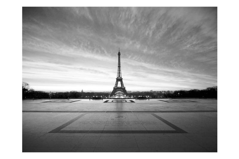 Fototapet The Iron Lady 200x154 - Artgeist sp. z o. o. - Inredning - Väggdekor - Tapet & tapettillbehör - Fototapet