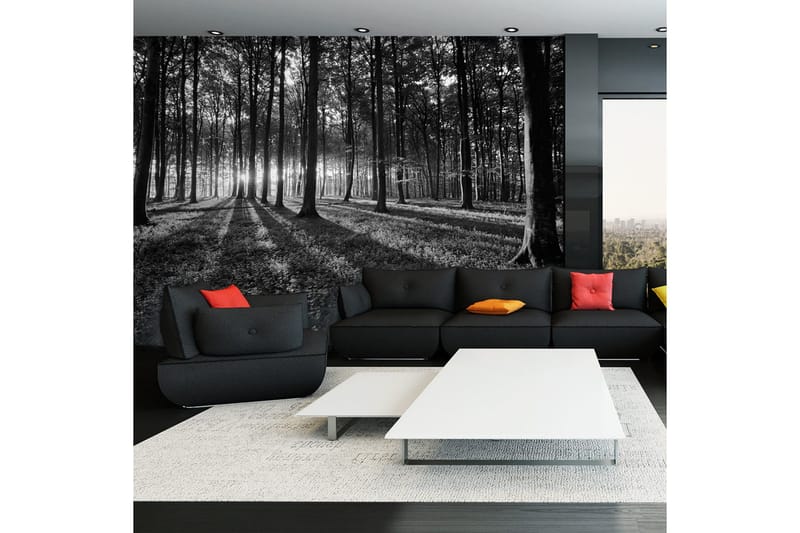 Fototapet The Light In The Forest 350x245, Artgeist sp. z o. o.