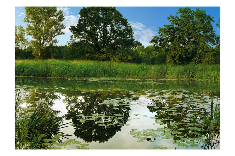 Fototapet The Magic Pond 100x70 - Artgeist sp. z o. o. - Inredning - Väggdekor - Tapet & tapettillbehör - Fototapet