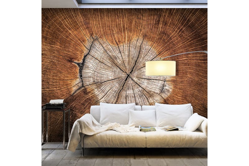 Fototapet The Soul Of A Tree 300x210, Artgeist sp. z o. o.