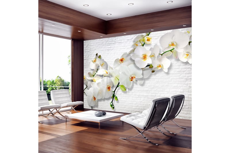 Fototapet The Urban Orchid 300x210 - Artgeist sp. z o. o. - Inredning - Väggdekor - Tapet & tapettillbehör - Fototapet