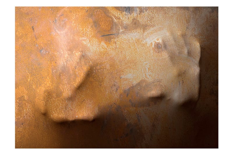 Fototapet Touch 300x210 - Artgeist sp. z o. o. - Inredning - Väggdekor - Tapet & tapettillbehör - Fototapet