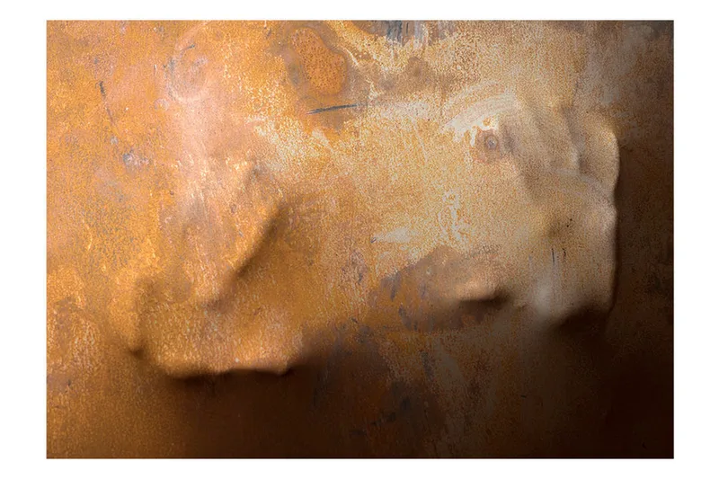 Fototapet Touch 300x210 - Artgeist sp. z o. o. - Inredning - Väggdekor - Tapet & tapettillbehör - Fototapet