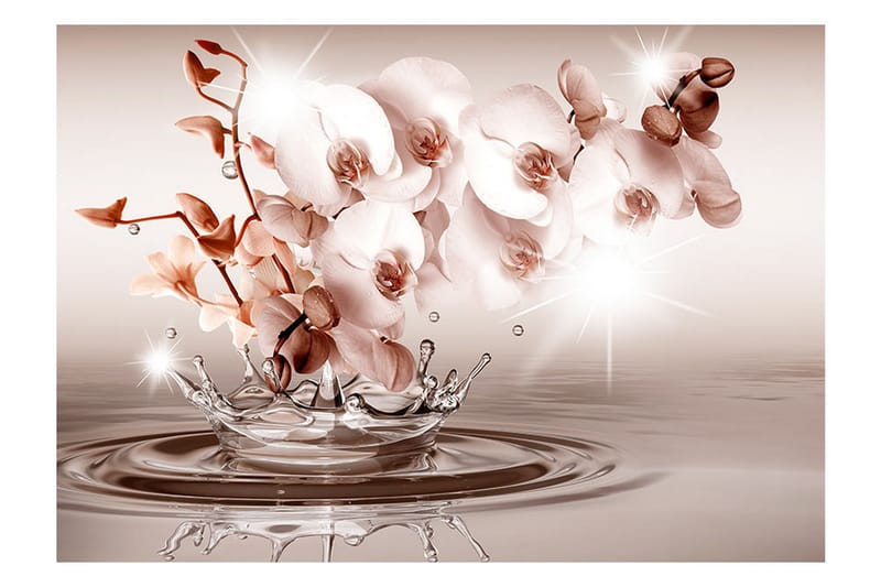 Fototapet Touch Of Tenderness 100x70 - Artgeist sp. z o. o. - Inredning - Väggdekor - Tapet & tapettillbehör - Fototapet