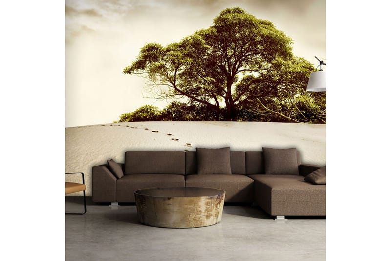 Fototapet Träd Öknen 400x309 - Artgeist sp. z o. o. - Inredning - Väggdekor - Tapet & tapettillbehör - Fototapet