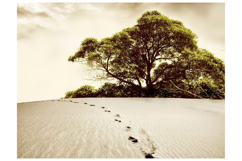 Fototapet Träd Öknen 400x309, Artgeist sp. z o. o.