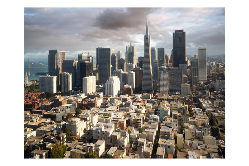 Fototapet Träd Höst Tunnel 250x193, Artgeist sp. z o. o.