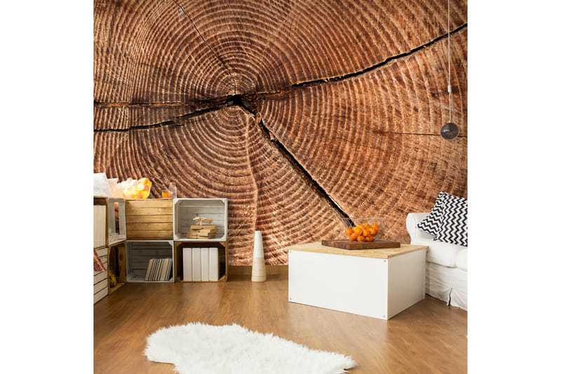 Fototapet Trädstam Tvärsnitt 200x154, Artgeist sp. z o. o.