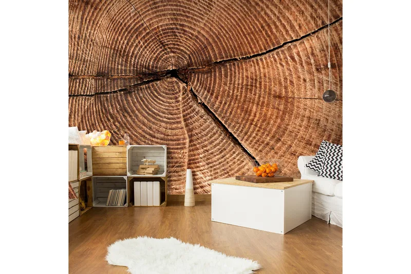 Fototapet Trädstam Tvärsnitt 300x231, Artgeist sp. z o. o.