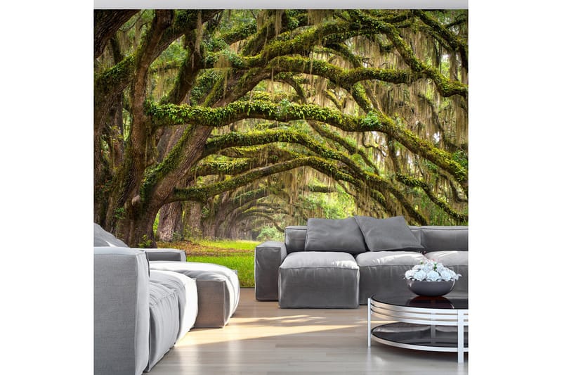 Fototapet Tree Embrace 200x140 - Artgeist sp. z o. o. - Inredning - Väggdekor - Tapet & tapettillbehör - Fototapet