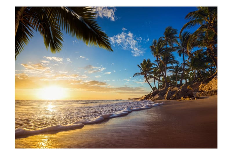 Fototapet Tropical Beach 350x245 - Artgeist sp. z o. o. - Inredning - Väggdekor - Tapet & tapettillbehör - Fototapet