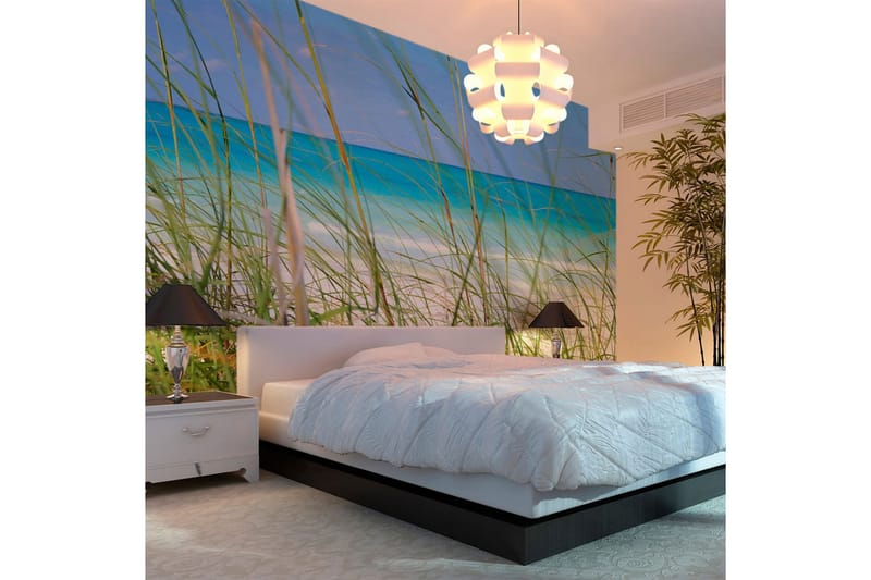 Fototapet Tropical Journey 450x270 - Artgeist sp. z o. o. - Inredning - Väggdekor - Tapet & tapettillbehör - Fototapet