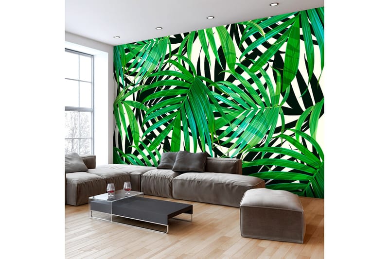 Fototapet Tropical Leaves 250x175 - Artgeist sp. z o. o. - Inredning - Väggdekor - Tapet & tapettillbehör - Fototapet
