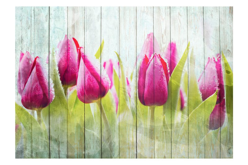 Fototapet Tulips On White Wood 150x105 - Artgeist sp. z o. o. - Fototapet
