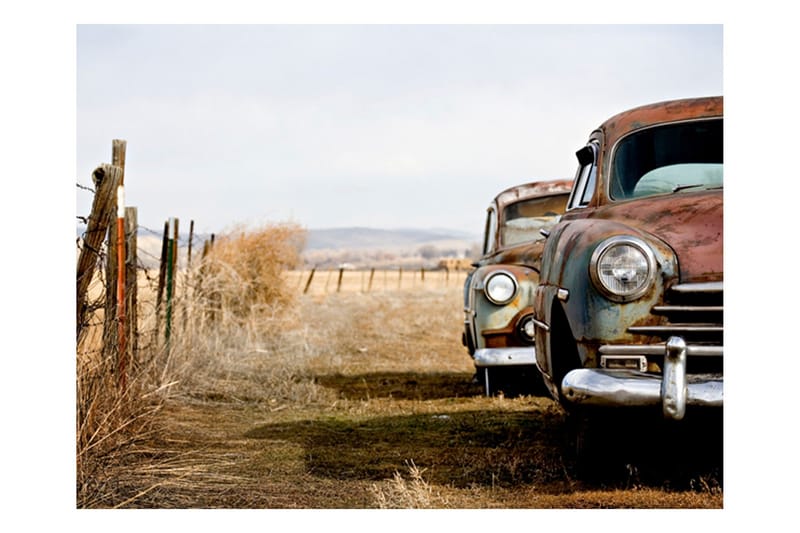 Fototapet Två Gamla Amerikanska Bilar 250x193, Artgeist sp. z o. o.