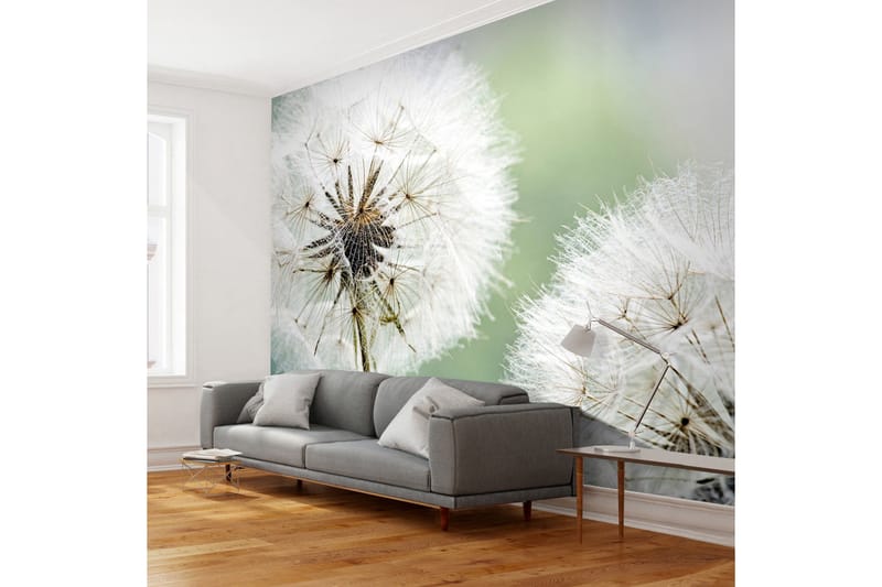 Fototapet Två Maskrosor 250x193, Artgeist sp. z o. o.