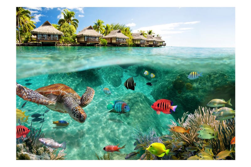 Fototapet Under The Surface Of Water 350x245 - Artgeist sp. z o. o. - Inredning - Väggdekor - Tapet & tapettillbehör - Fototapet