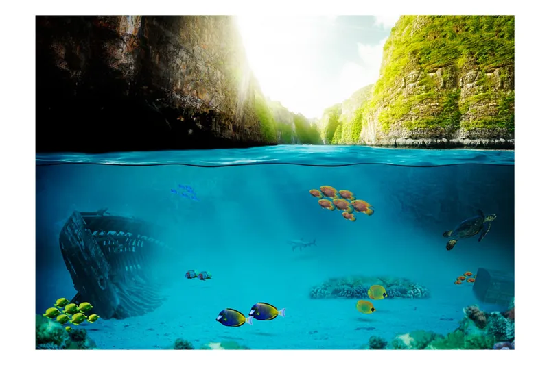 Fototapet Under The Waterline 100x70 - Artgeist sp. z o. o. - Inredning - Väggdekor - Tapet & tapettillbehör - Fototapet