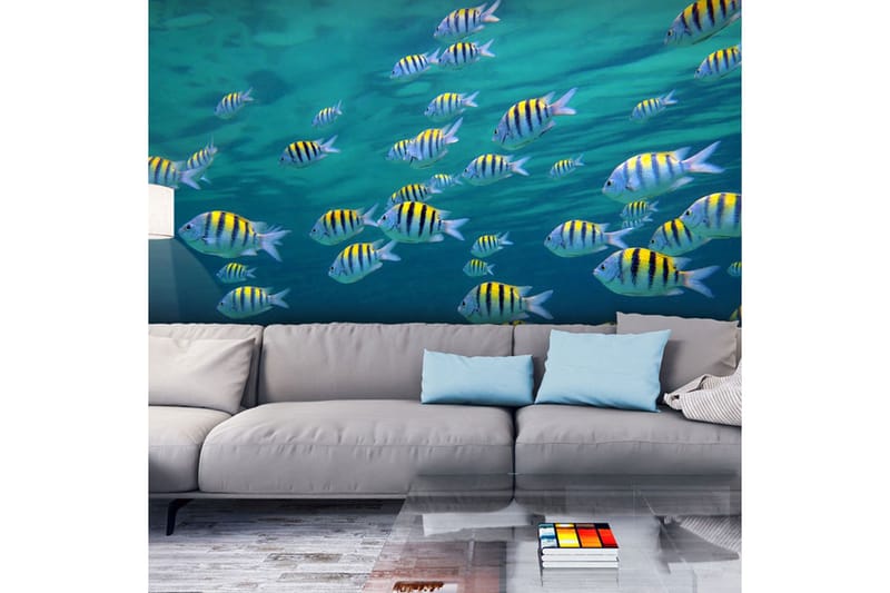 Fototapet Undervattenslandskap Karibien 250x193 - Artgeist sp. z o. o. - Inredning - Väggdekor - Tapet & tapettillbehör - Fototapet