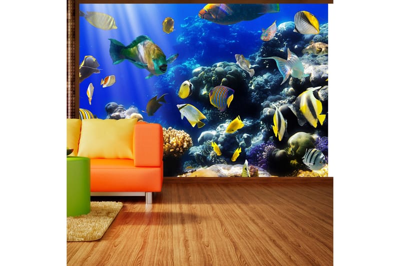 Fototapet Underwater Adventure 400x280, Artgeist sp. z o. o.