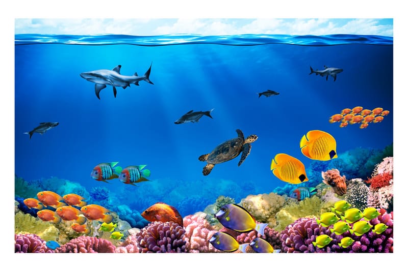 Fototapet Underwater Kingdom 350x245 - Artgeist sp. z o. o. - Inredning - Väggdekor - Tapet & tapettillbehör - Fototapet