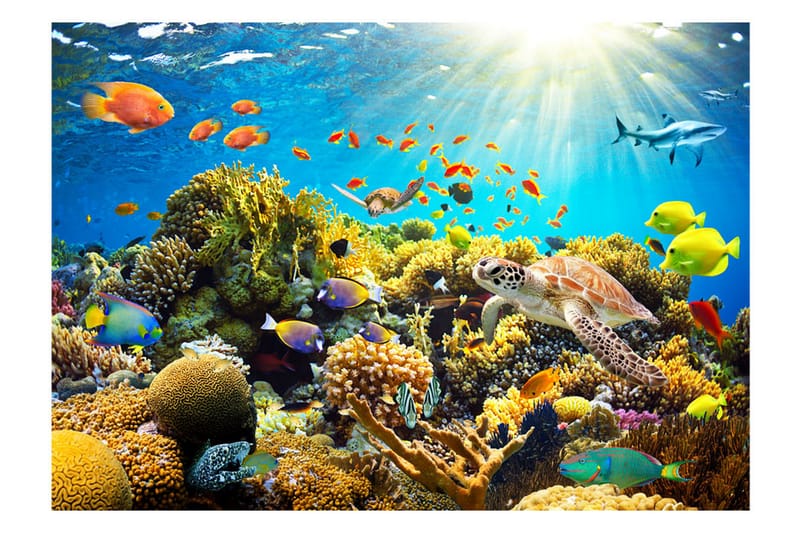 Fototapet Underwater Land 300x210 - Artgeist sp. z o. o. - Inredning - Väggdekor - Tapet & tapettillbehör - Fototapet