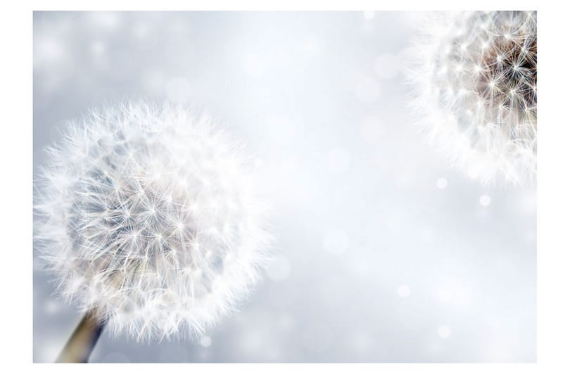 Fototapet Unpredictable Moments 100x70 - Artgeist sp. z o. o. - Inredning - Väggdekor - Tapet & tapettillbehör - Fototapet