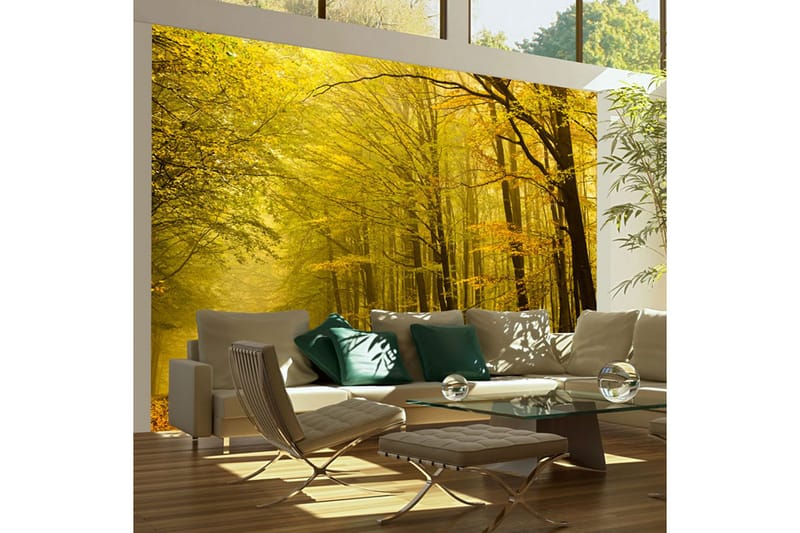 Fototapet Väg Höst Skogen 350x270 - Artgeist sp. z o. o. - Inredning - Väggdekor - Tapet & tapettillbehör - Fototapet