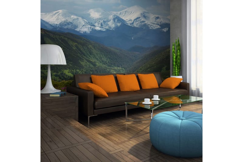 Fototapet Vår Fjällandskap 250x193 - Artgeist sp. z o. o. - Inredning - Väggdekor - Tapet & tapettillbehör - Fototapet