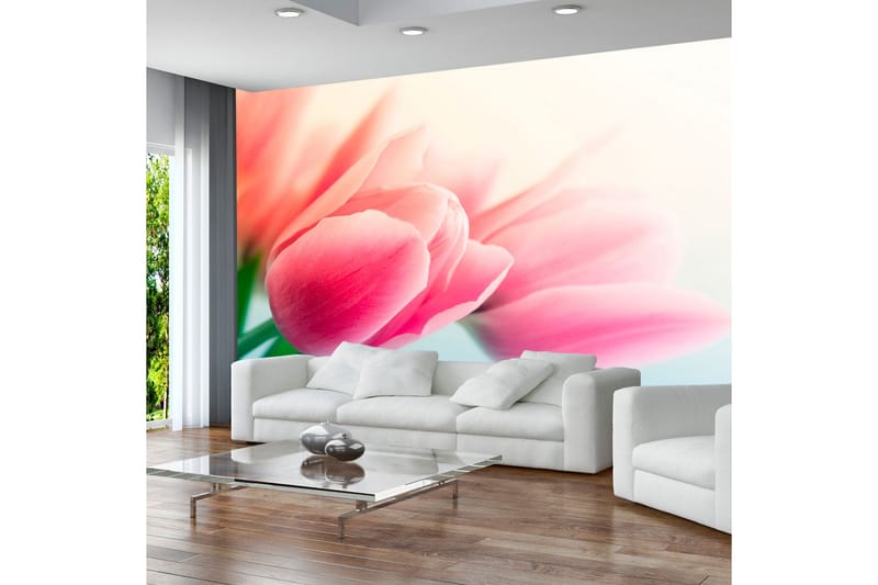 Fototapet Vår Och Tulpaner 250x193, Artgeist sp. z o. o.