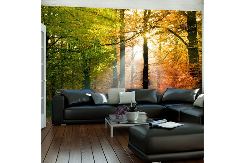 Fototapet Vacker Höst 350x270 - Artgeist sp. z o. o. - Inredning - Väggdekor - Tapet & tapettillbehör - Fototapet