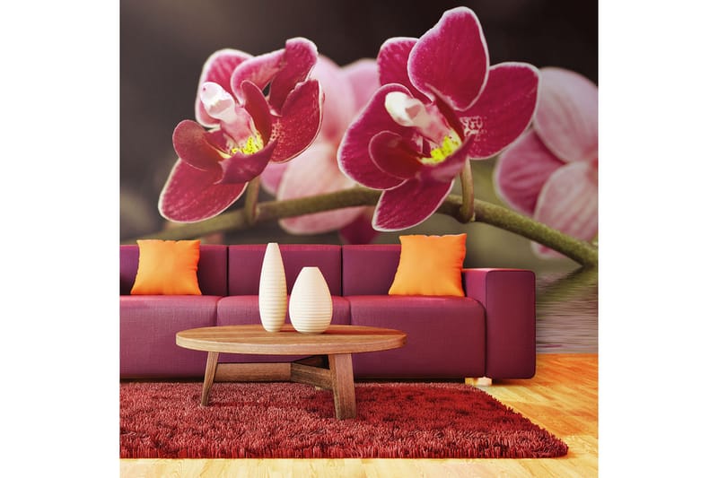Fototapet Vacker Orkidé Blommor På Vattnet 450x270 - Artgeist sp. z o. o. - Inredning - Väggdekor - Tapet & tapettillbehör - Fototapet